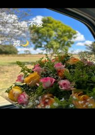 一言不发dj李泽琳完整版